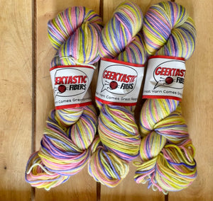 Ready To Ship - Why Are We Like This - Self Striping Yarn